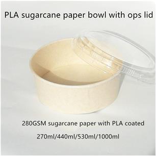 Sugarcane Pulp Compostable Ice-cream Cup Gelato Yogurt Tub