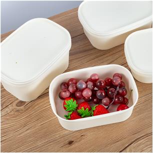 White Kraft Rectangular Lunch Container